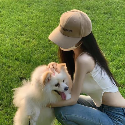 神犬小七第二季