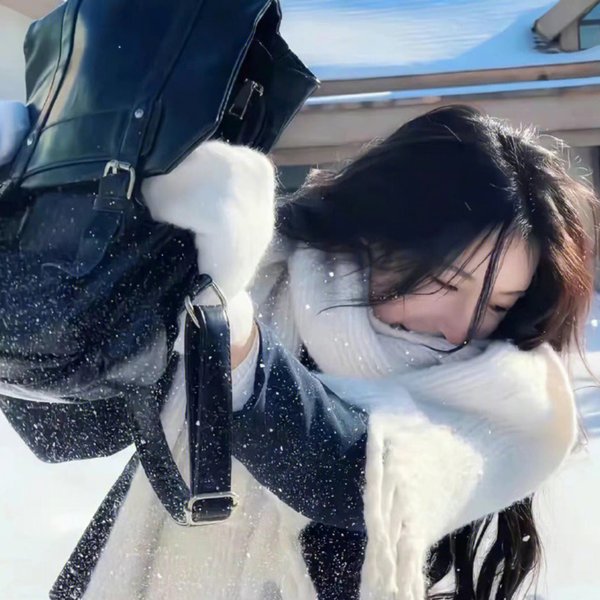 与鲨鱼游弋